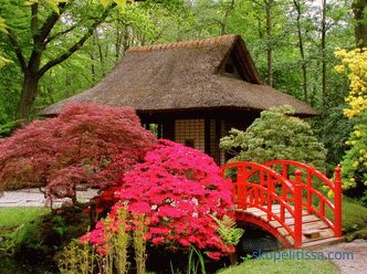 Jardin japonais - principes et règles pour créer du style