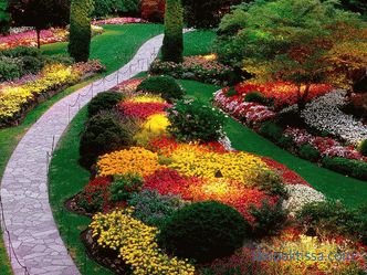 photos et recommandations de base pour la création d'un beau jardin