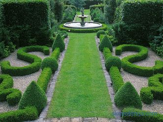 photos et recommandations de base pour la création d'un beau jardin