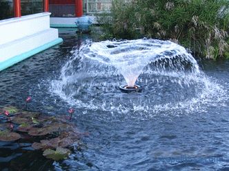 Les fontaines pour un étang dans le pays, lequel choisir et acheter une fontaine pour un étang de jardin décoratif à Moscou