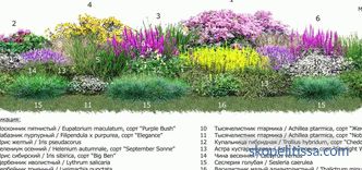 Parterre de fleurs le long de la clôture: les règles de l'aménagement paysager