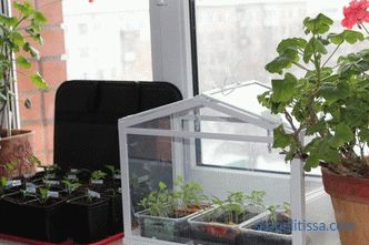 Maison mini serre en polycarbonate, mini serre pour jardin, photo et vidéo