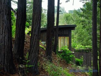 Deux mini-cottages dans le prolongement de la maison de Mill Valley, Californie