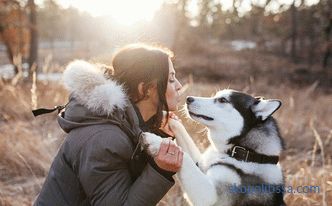 Volière pour huskies: comment faire et où installer