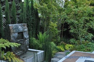 Jardin dans le style du minimalisme, les principes et les idées de la création d'un paysage minimaliste, des solutions photo élégantes