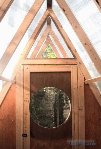 Birdhouse dans une forêt canadienne - peut accueillir deux personnes et 12 oiseaux